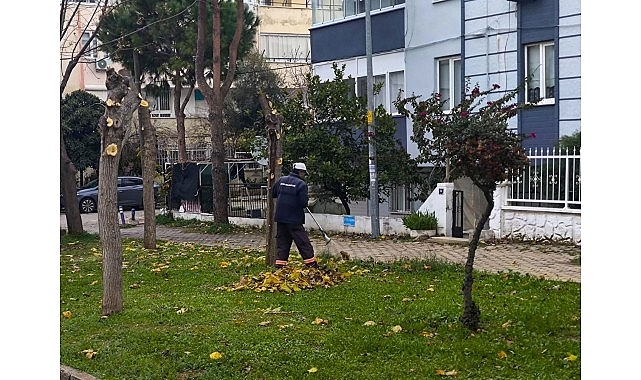 Didim Belediyesi Ekiplerinden İlçe Genelinde Yoğun Mesai 1 didim belediyesi ekiplerinden ilce genelinde yogun mesai