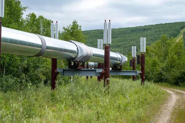 Petrol Fiyatları Turizmde Ulaşım Maliyetlerini Zorlayacak 1 petrol t.webp
