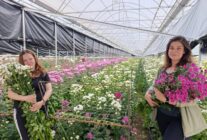 672671816 10234398877820033 7271414014296308706 n