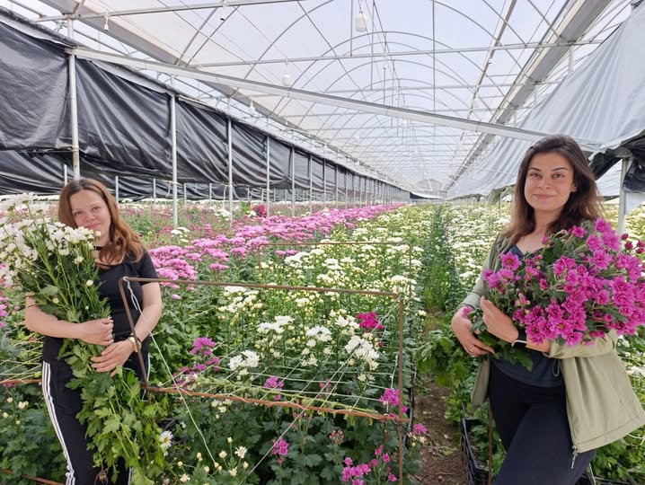 672671816 10234398877820033 7271414014296308706 n