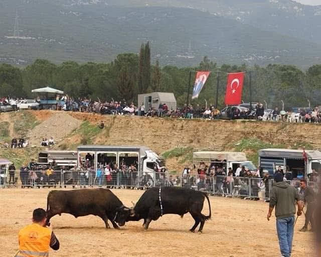 678340453 10234479858644503 7032239492255618027 n