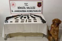 WhatsApp Image 2026 04 17 at 12.35.46