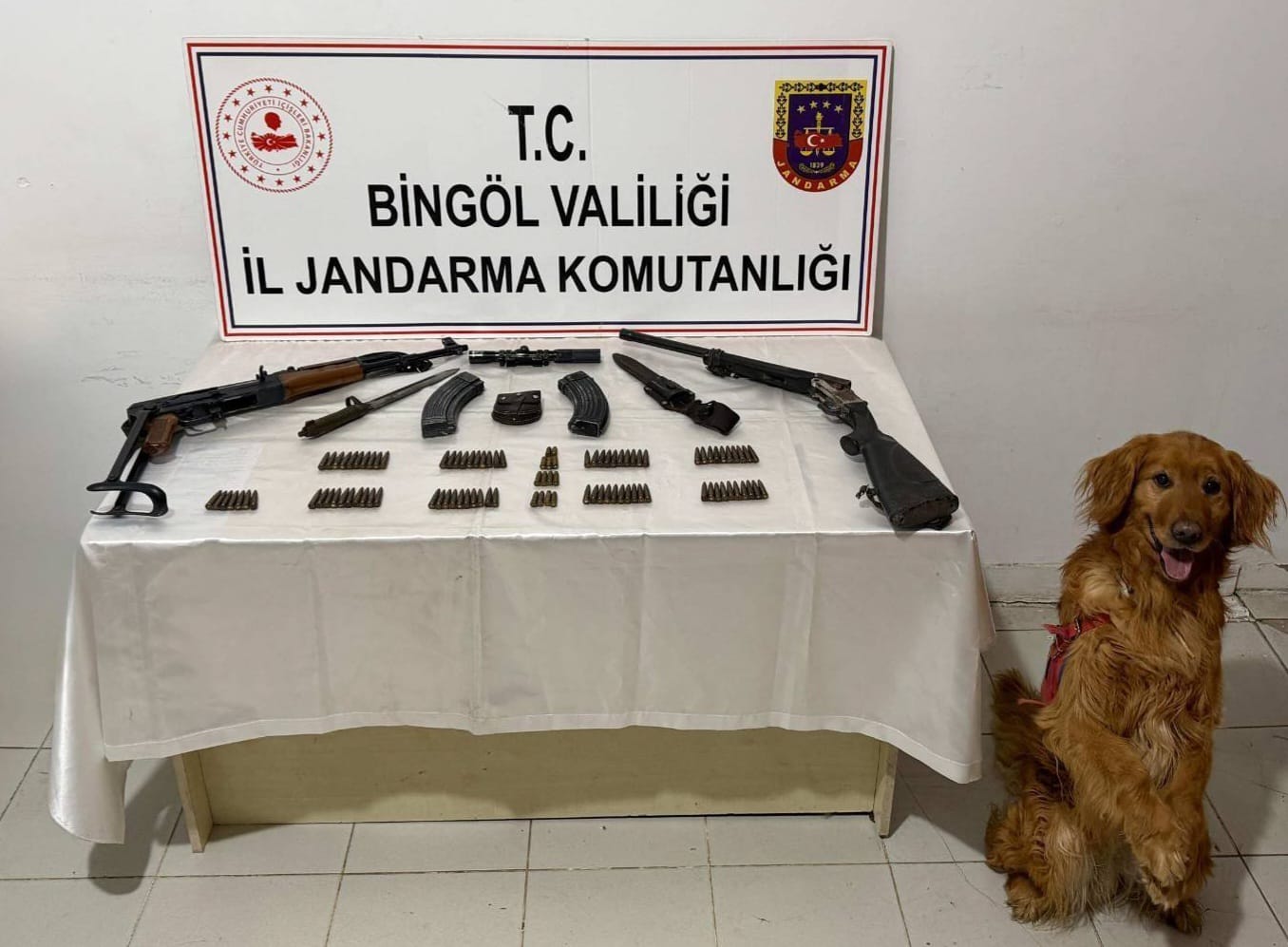 WhatsApp Image 2026 04 17 at 12.35.46