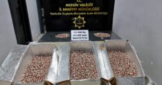 MERSINDE 317 BIN 285 ADET SENTETIK ECZA 1325701 393799