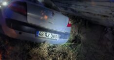 OTOMOBIL YOL KENARINDA YURUYEN KADINLAR 1337553 397333 scaled