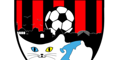 Vanspor FK