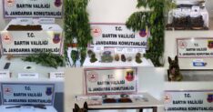 BARTINDA UYUSTURUCU OPERASYONU 16 GOZA 1467519 436625