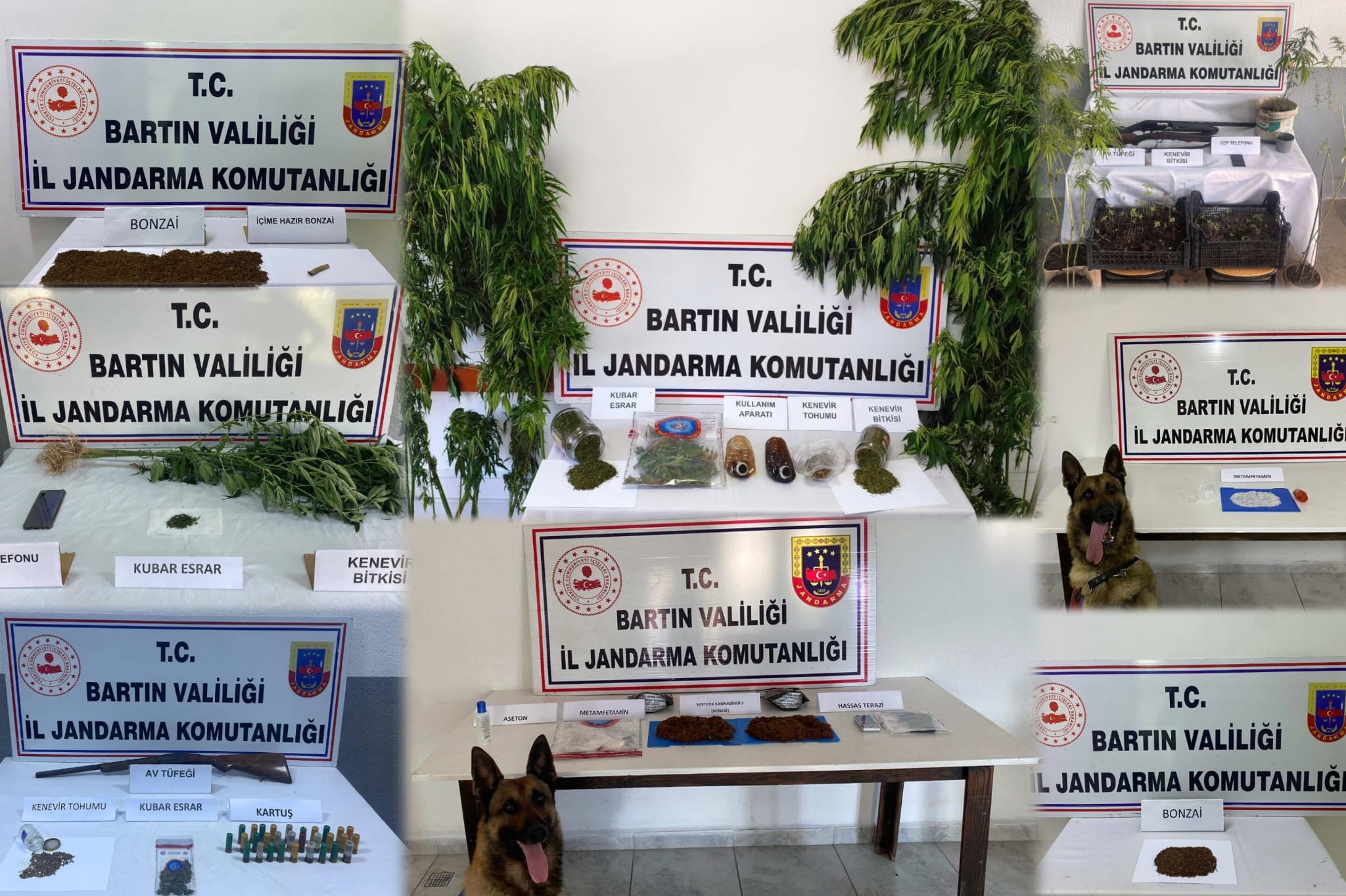 Bartın’da Uyuşturucu Satıcılarına Eş Zamanlı Operasyon: 16 Gözaltı 1 BARTINDA UYUSTURUCU OPERASYONU 16 GOZA 1467519 436625