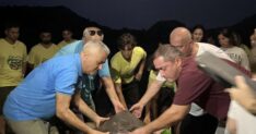 TEDAVI EDILEN YARALI DENIZ KAPLUMBAGASI 1445642 429996 scaled