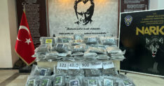 HAMZABEYLIDE TIRDA 121 KILO 900 GRAM S 1485116 441829